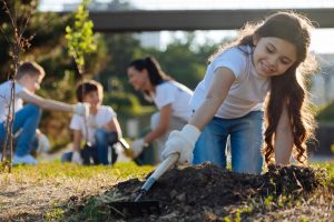 planting tree